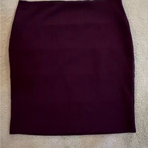 Elegant Purple Women's Skirt